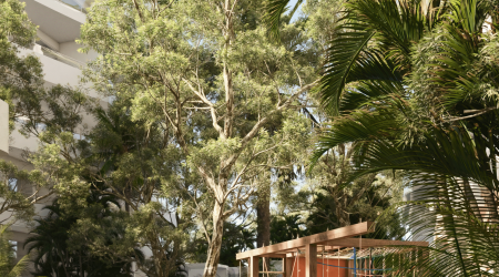 Reserva_Solé_Kids-Área