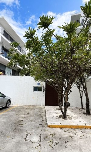 WhatsApp Image 2024-10-22 at 3.12.48 PM