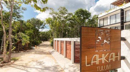 WhatsApp Image 2024-11-05 at 17.56.56 (12)