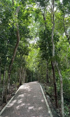 WhatsApp Image 2025-07-15 at 1.48.33 PM