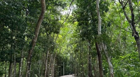 WhatsApp Image 2025-07-15 at 1.48.33 PM