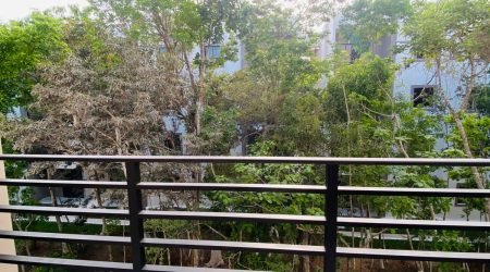 WhatsApp Image 2025-07-18 at 11.32.04 AM (1)