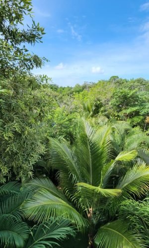 WhatsApp Image 2025-11-12 at 11.42.04 AM