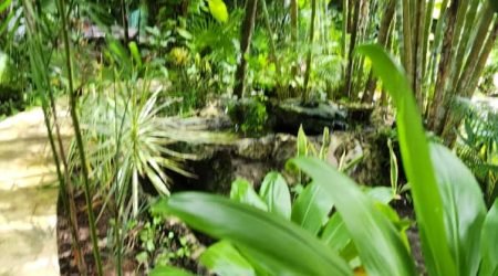 WhatsApp Image 2025-11-12 at 11.42.37 AM (3)