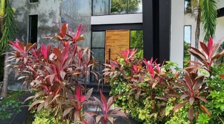 WhatsApp Image 2025-11-12 at 11.42.41 AM