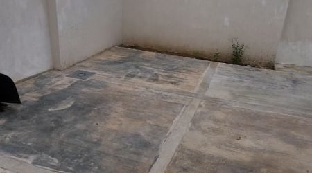 WhatsApp Image 2025-11-12 at 11.57.31 AM (4)