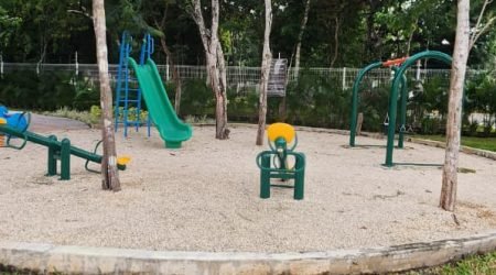 WhatsApp Image 2025-11-12 at 11.57.31 AM