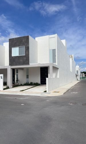 WhatsApp Image 2025-11-18 at 1.37.54 PM