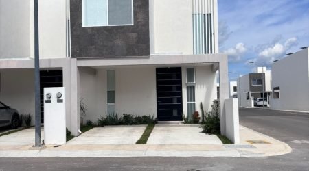 WhatsApp Image 2025-11-18 at 1.37.55 PM