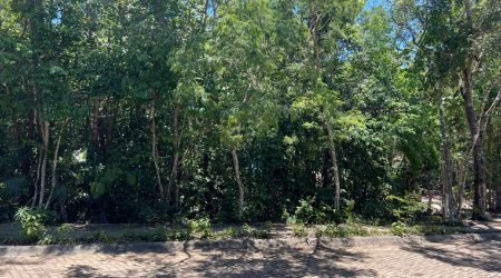 WhatsApp Image 2025-11-18 at 12.10.20 PM (1)