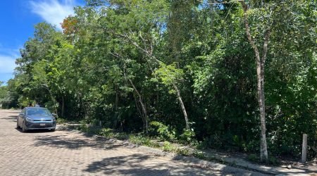 WhatsApp Image 2025-11-18 at 12.10.20 PM (3)