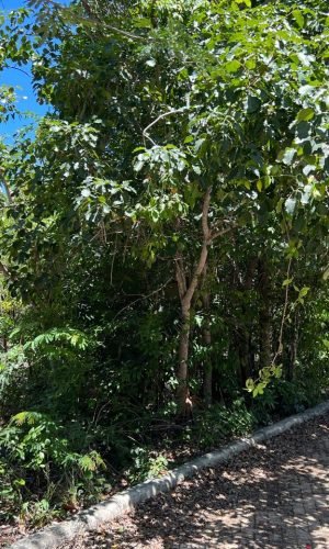 WhatsApp Image 2025-11-18 at 12.10.21 PM (1)