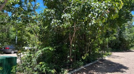 WhatsApp Image 2025-11-18 at 12.10.21 PM (1)