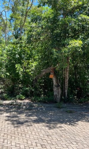 WhatsApp Image 2025-11-18 at 12.10.21 PM (2)