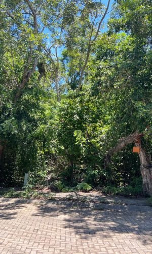 WhatsApp Image 2025-11-18 at 12.10.21 PM (3)