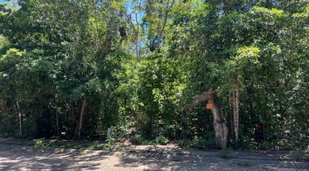 WhatsApp Image 2025-11-18 at 12.10.21 PM (3)