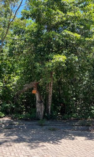 WhatsApp Image 2025-11-18 at 12.10.21 PM (4)