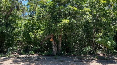 WhatsApp Image 2025-11-18 at 12.10.21 PM (4)