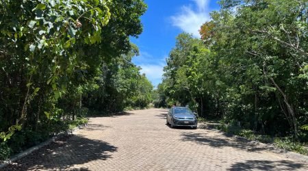 WhatsApp Image 2025-11-18 at 12.10.21 PM